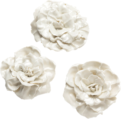 Porcelain Rose  by Rachel Kneebone