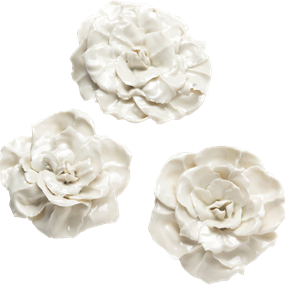 Porcelain Rose by Rachel Kneebone