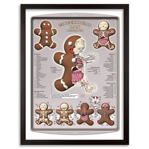 Gingerbread Man Dissected  by Jason Freeny