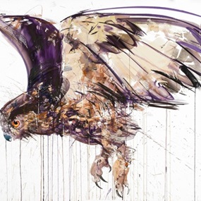 Flying Owl by Dave White