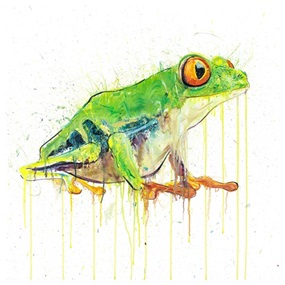 Tree Frog (2017) (Diamond Dust) by Dave White