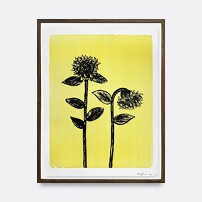 Helianthus Annus (Dying Sunflowers) by Rose Eken