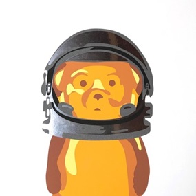 Astro Bear (Mirror Variant) by Fnnch