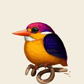 Rufous-Backed Dwarf-Kingfisher (Timed Edition) by Mike Mitchell