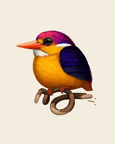 Rufous-Backed Dwarf-Kingfisher (Timed Edition) by Mike Mitchell