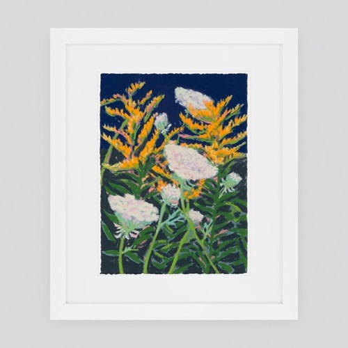 Goldenrod and Queen Anne