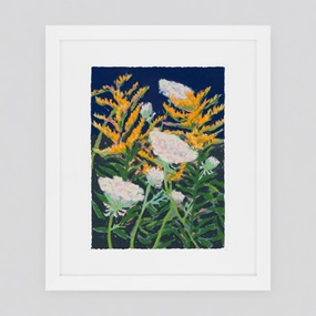 Goldenrod and Queen Anne