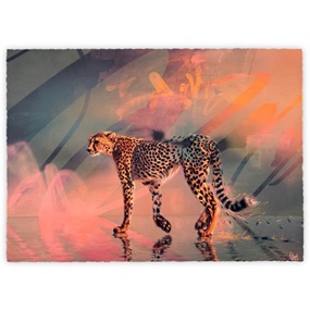 Sawedi by Sonny