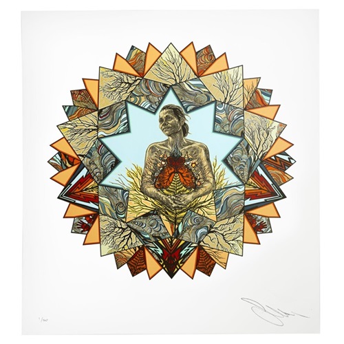 Sonia, Radiant Symmetries  by Swoon