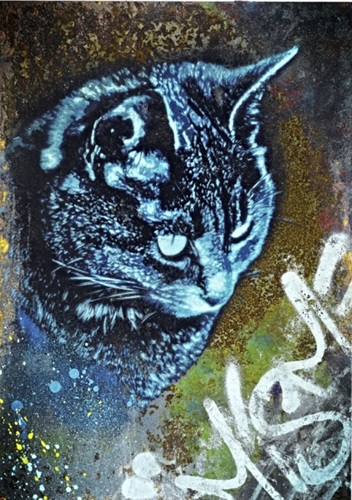 MeowMeow  by Snik