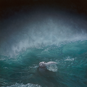 Solo by Joel Rea