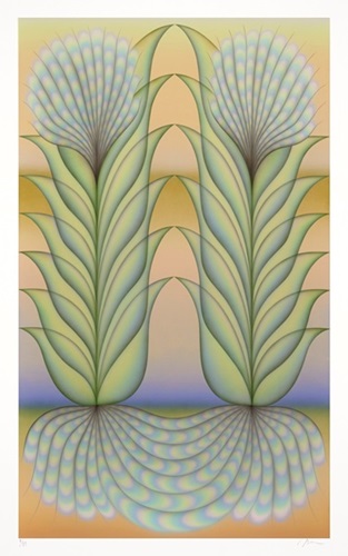 Loom  by Molly Greene