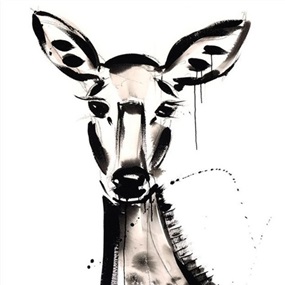 Doe by Jenna Snyder-Phillips