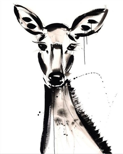 Doe  by Jenna Snyder-Phillips