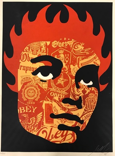Obey Collage Girl  by Shepard Fairey