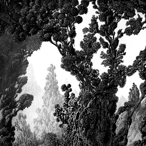 Forest Maze (Black & White) by Kilian Eng