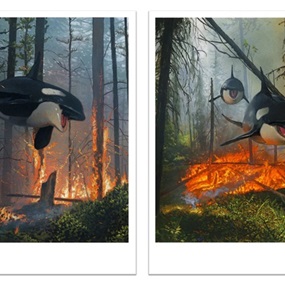 Dream And Lost (Diptych) by Chris Austin