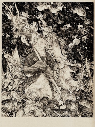 Petrushka (First Edition) by Vania Zouravliov