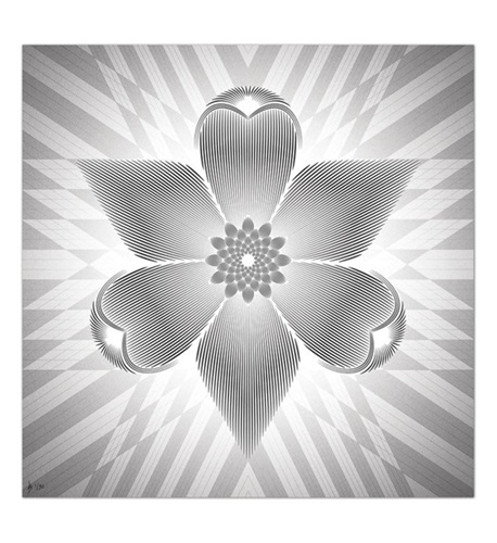 The Orchid  by Anthony Sunter