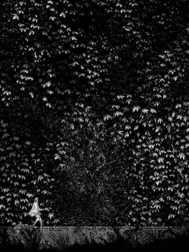 Garden Wall Ghost  by Kilian Eng