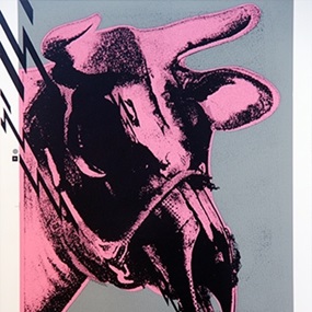 Dead Cow (Grey / Raspberry) by Paul Insect