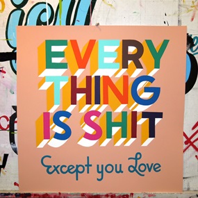 Everything Is Shit (2013 - Coral) by Steve Powers