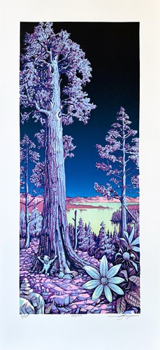 Sequoia (Moonlight Edition) by AJ Masthay