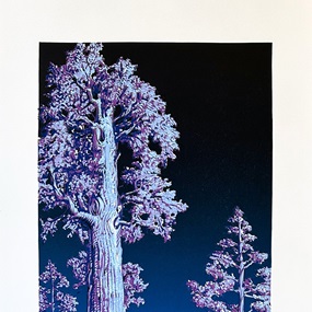 Sequoia (Moonlight Edition) by AJ Masthay