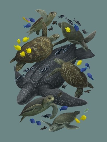 Sea Turtles Of The World  by Zoe Keller