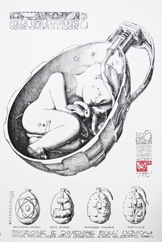 Devenire Fetus Granata ("B") by Liqen