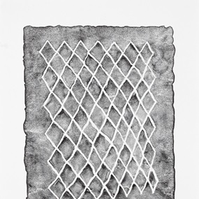 Untitled (Fence, Mirrored) (Fence, Black I) by Mona Hatoum