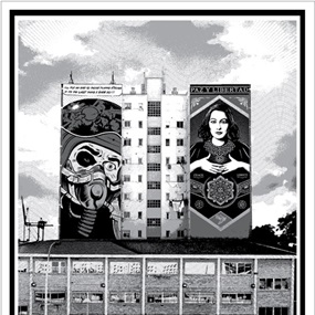 Wasted Youth / Your Eyes Here (CAC Malaga Edition) by D*Face | Shepard Fairey