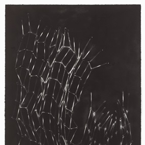 Untitled (Bed Springs I) (First Edition) by Mona Hatoum