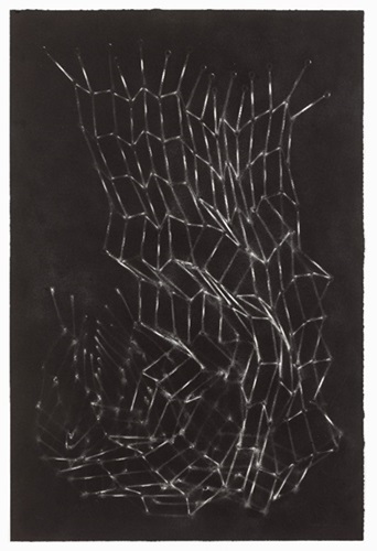 Untitled (Bed Springs II)  by Mona Hatoum