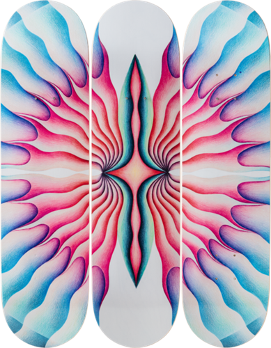 Butterfly Skateboard  by Judy Chicago