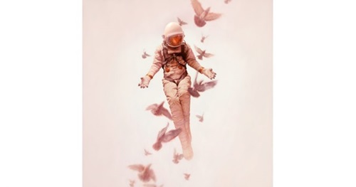 Wilderness (Timed Edition) by Jeremy Geddes