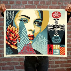 Harmonious Elements by Shepard Fairey