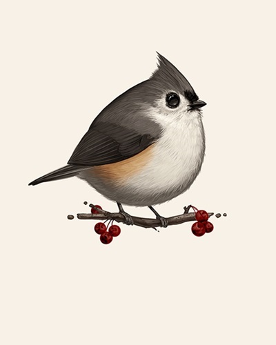 Fat Bird -  Tufted Titmouse  by Mike Mitchell