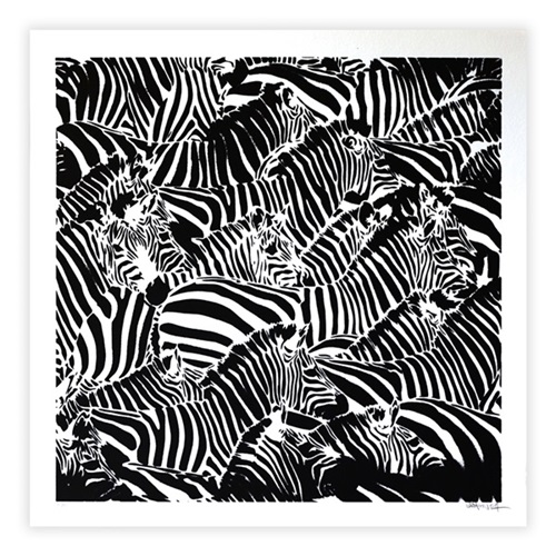 Zebra