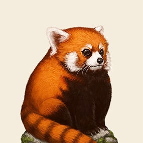 Fat Kingdom - Red Panda by Mike Mitchell