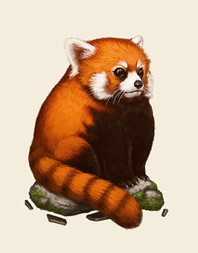 Fat Kingdom - Red Panda  by Mike Mitchell