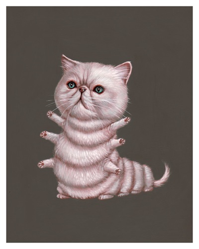Exotic Shorthair (First Edition) by Casey Weldon