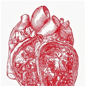 Little Heart by Eric Helvie