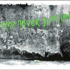Never Never Never Give Up (Green) by Mr Brainwash