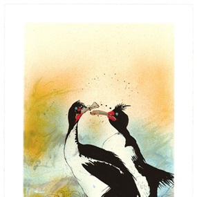 Chatham Island Shag by Ralph Steadman