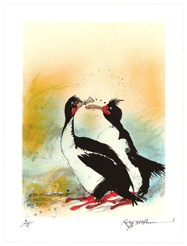 Chatham Island Shag  by Ralph Steadman