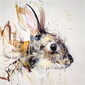 Rabbit (Diamond Dust) by Dave White