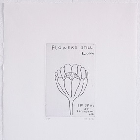 Etching (Flowers Still Bloom...) by David Shrigley