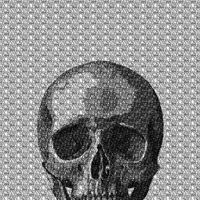 Vanité n°1 (First Edition) by Nicolas Cessieux