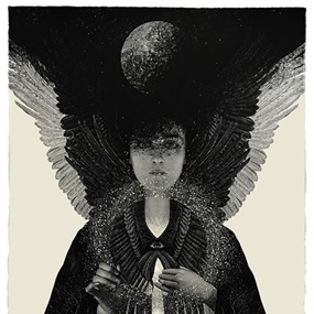 Shade Of The Living Light by Dan Hillier
